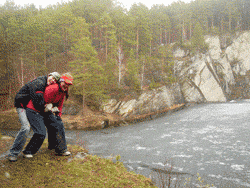 2.gif