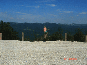 DSC02553.gif