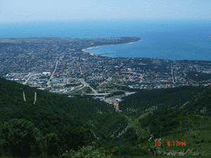 DSC02560.gif