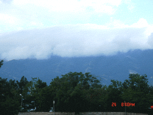 DSC03850.gif