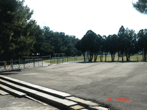 DSC03957.gif