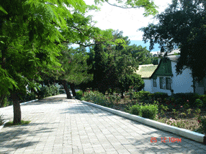 DSC03968.gif