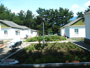 DSC03985.gif