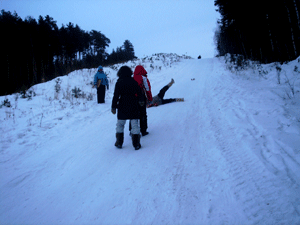 DSC06852.gif